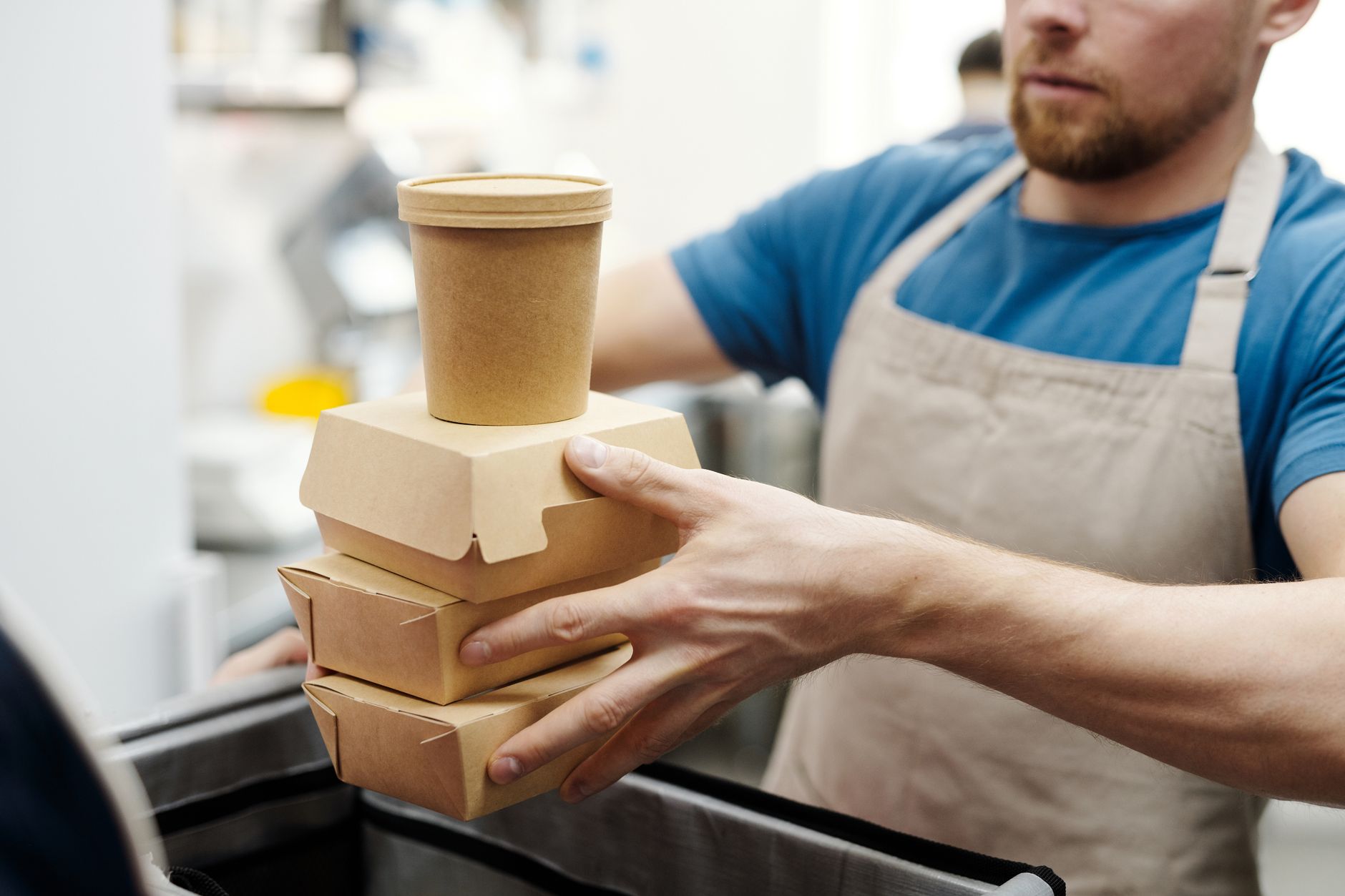 Biodegradable Takeaway Boxes offered by EcoPack Solutions
